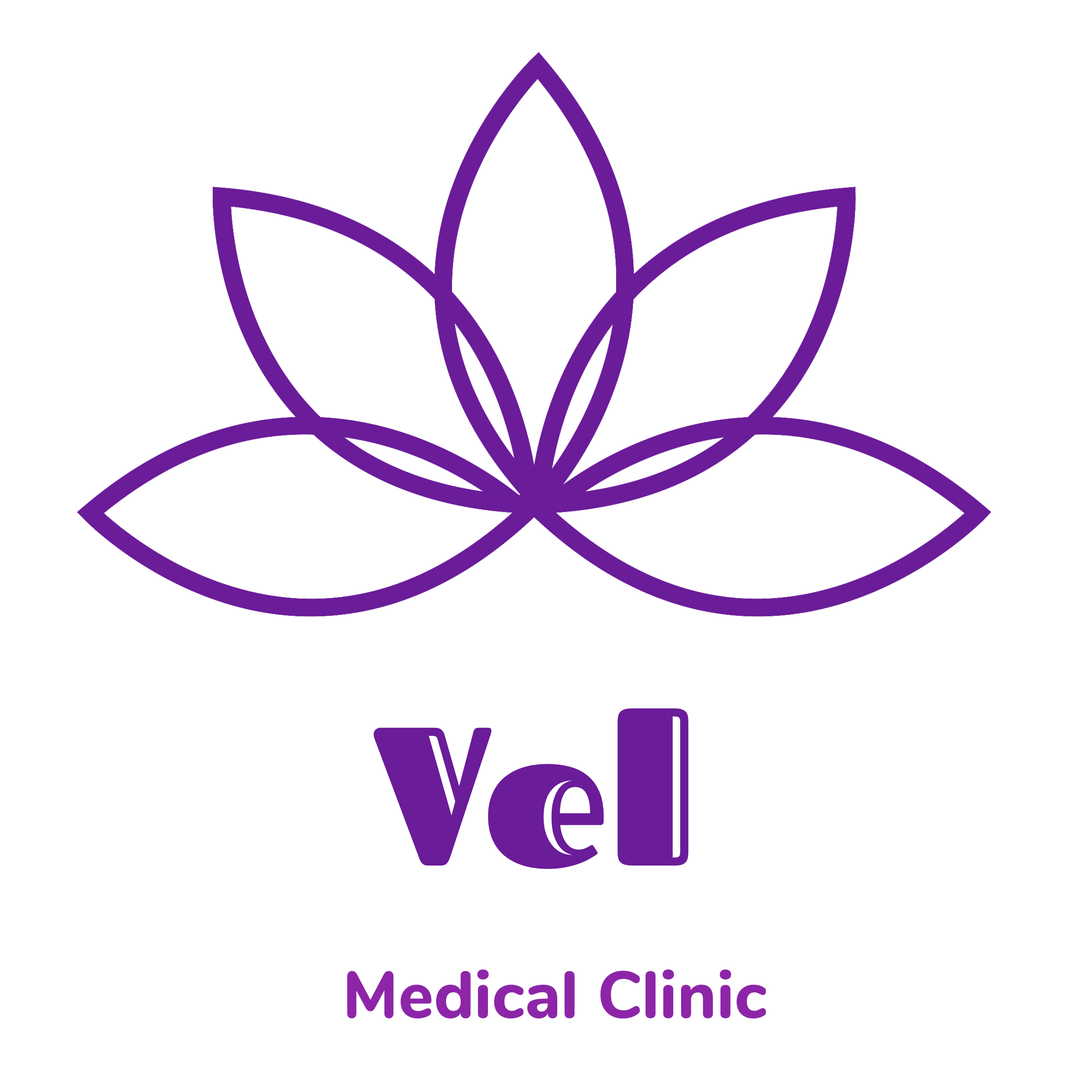 VEL's logo